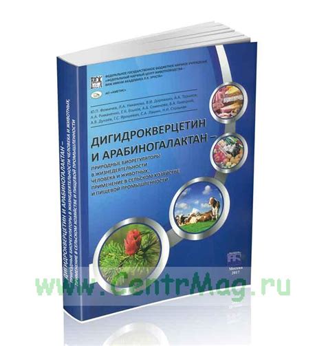 Авокадо: природные ценности и применение в пищевой промышленности