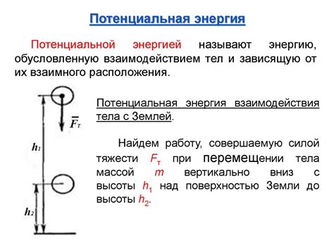 Агрессивное распространение и потенциальная инвазивность