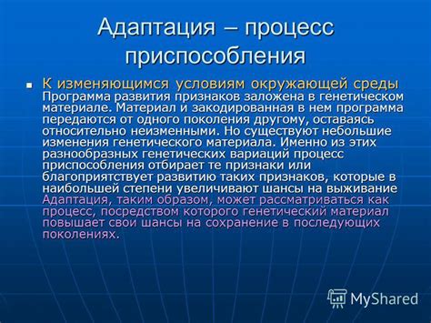 Адаптация водорослей к изменяющимся условиям окружающей среды