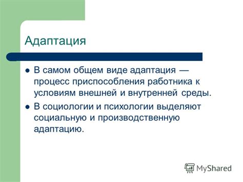 Адаптация и развитие: вопросы поддержки или свободы самостоятельного роста