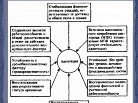 Адаптация цитоплазмы к различным воздействиям внешней среды