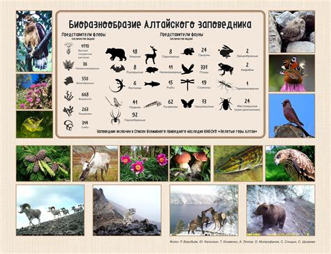 Азовское побережье: термальные источники и уникальная флора и фауна