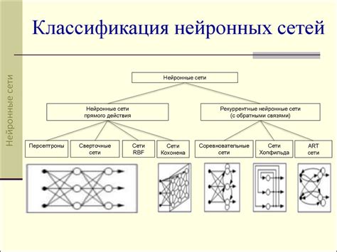 Алгоритмы формирования знаний в нейронных сетях