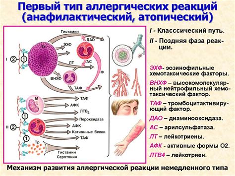 Аллергии: виды и причины