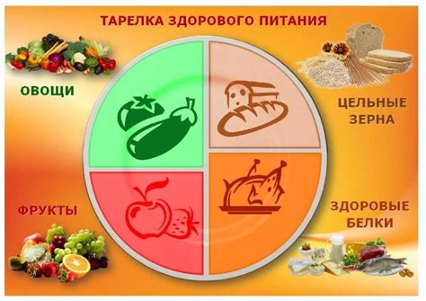 Альтернатива для здорового и сбалансированного рациона