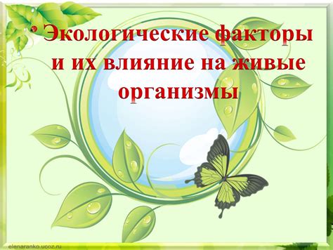 Альтернативные концепции о природе вещества и их влияние на понимание реальности