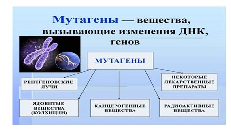 Альтернативные методы изучения расположения второго зубца у человека