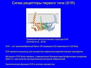 Альтернативные подходы к лечению и удалению уплотнения на ягодице после инъекции