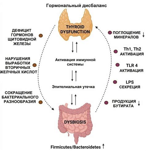 Альтернативные подходы к улучшению состояния суставов, связанных с дисфункцией щитовидной железы