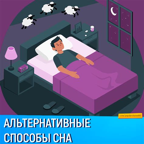 Альтернативные способы воздействия на качество сна птиц: в поиске более эффективных решений