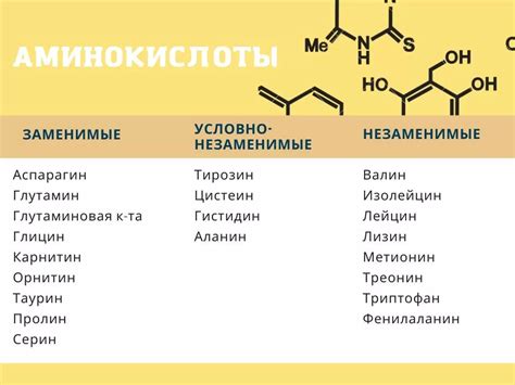 Аминокислоты: определение и функции