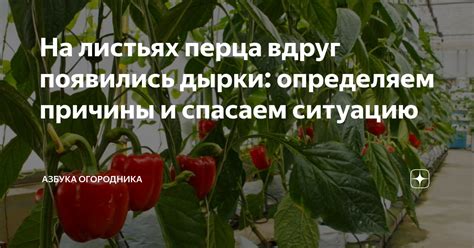 Анализируем ситуацию и определяем причины возврата программного продукта