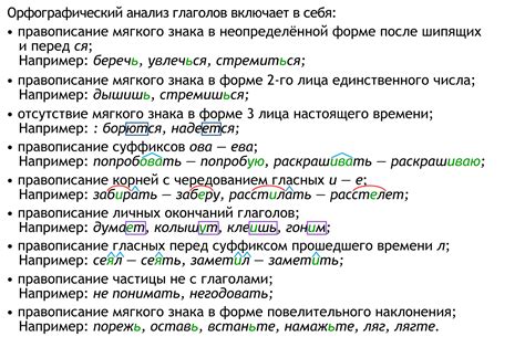 Анализ глаголов: их важность и разнообразие функций