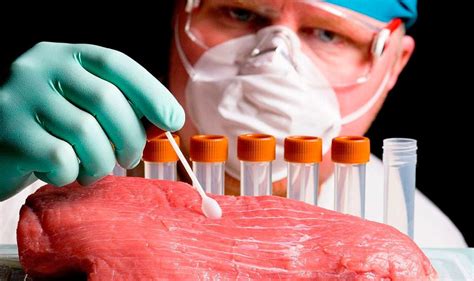 Анализ качества рыбы и мяса на рынке: как оценить продукты перед покупкой