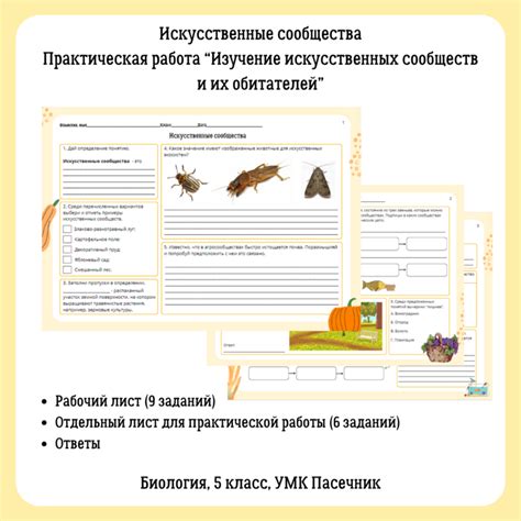 Анализ местных обитателей и ход их действий