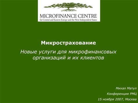 Анализ микрофинансовых организаций и их условий: изучение структуры и предоставляемых возможностей