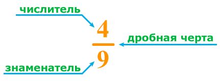 Анализ определенной десятой части: исследуем числитель и знаменатель дроби 1/2