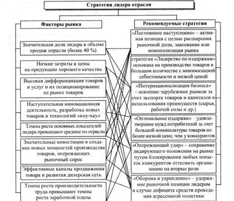 Анализ основополагающих факторов, подтверждающих выбранный плейсмент