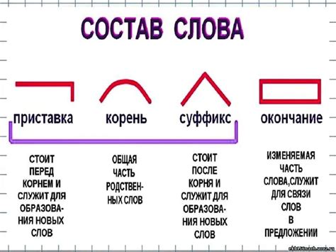 Анализ суффикса -ач-