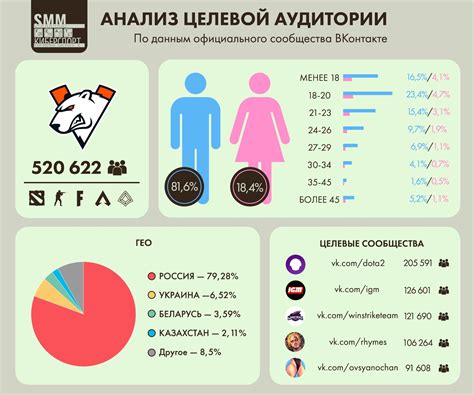 Анализ целевой аудитории и выбор соответствующих платформ для продвижения в социальных сетях