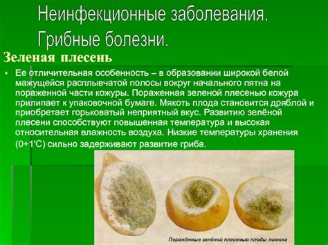 Анатомическая особенность: таящийся секрет белой полосы