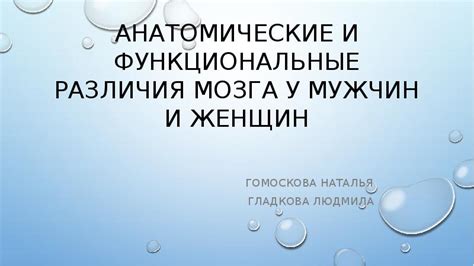 Анатомические и функциональные различия между верхними конечностями