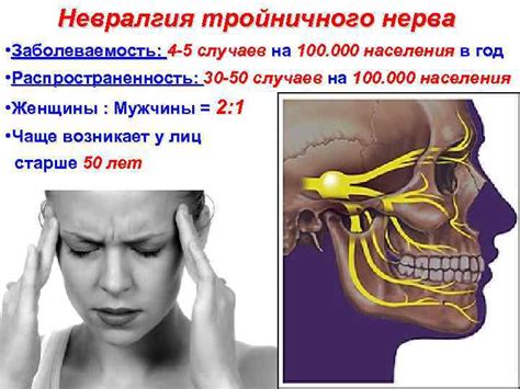 Анатомические структуры и функции тройничного нерва: важное звено нашего лица