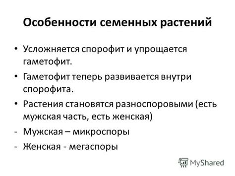 Анатомическое размещение семенных проводников: уникальные особенности