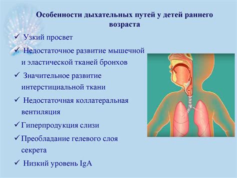 Анатомическое расположение органов дыхания у представительниц прекрасного пола