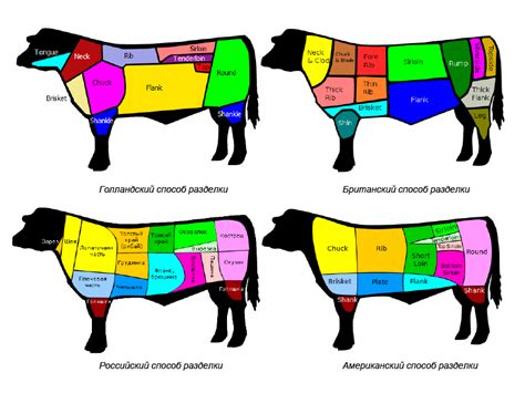 Анатомическое строение говяжьей туши и методы ее разделки
