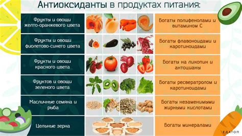 Антиоксиданты в капусте: защита клеток и поддержание здоровья