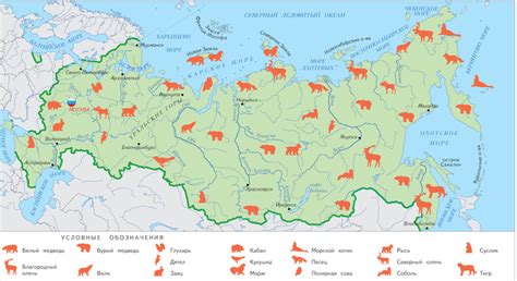 Ареал проживания ласки в окрестностях Ленинградской губернии