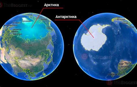 Арктика и Антарктида: сходства и различия