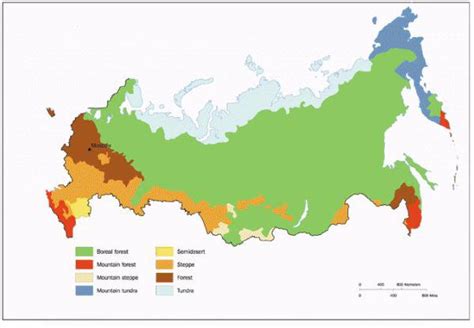 Арктическая зона России: суровые климатические условия и уникальная изоляция