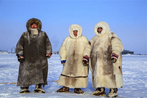 Арктические воды: дом веслоноса в холодном Севере