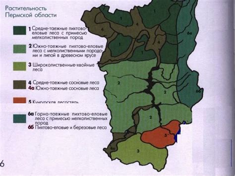 Артефакты в природной зоне: особенности и классификация