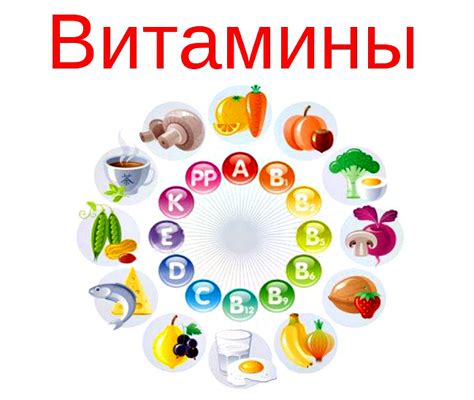 Аспекты сновидения: роль питательных продуктов и их влияние на образы пищи