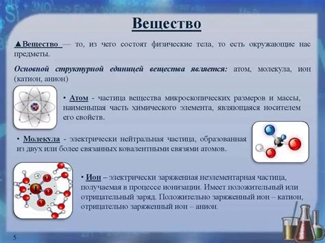 Атомы и молекулы: основные строительные блоки живых организмов