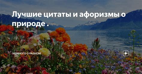 Афоризмы о неповторимой природе весенней поры: прекрасная эстетика и расцвет жизни