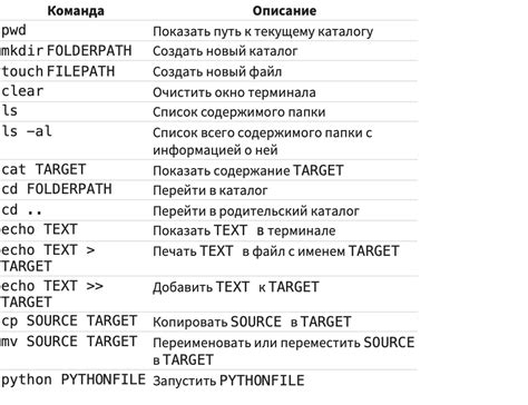 Базовые команды в командной оболочке: справочник для новичков