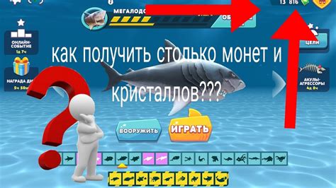 Базовые локации для обнаружения предметов в игре Hungry Shark Evolution