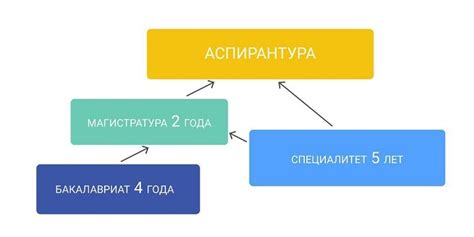 Бакалавриат или магистратура: путь к образованию фармацевта