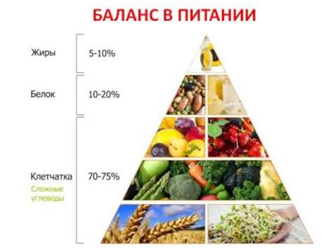 Баланс в питании: полезные альтернативы сладкому после интенсивных тренировок