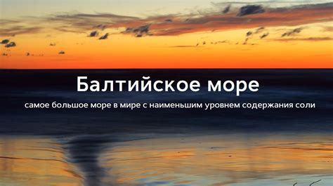 Балтийское море: особенности экосистемы и присутствие рыбного вида