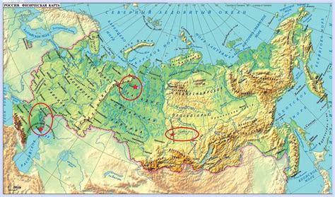 Бамбучники в европейской части России: условия и география