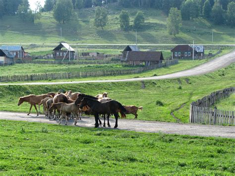 Башкирские села и деревни: особенности жизни и культуры