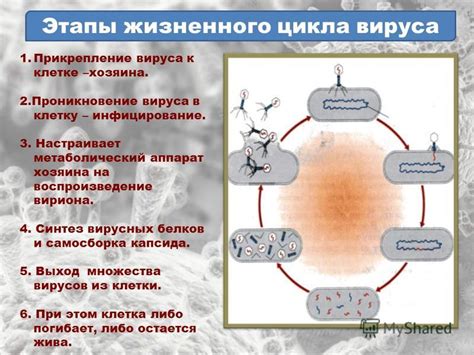 Безопасная атмосфера: уменьшение вероятности передачи микробов и вирусов