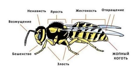 Безопасное укрытие: где осы проводят холодные месяцы