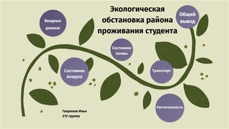 Безопасность и экологическая обстановка района проживания