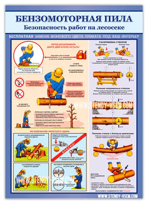 Безопасность на лесосеке: ценная информация для заботливых тружеников